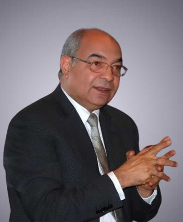 Prof Dr Ahmed Gaber Renergy Egypt
